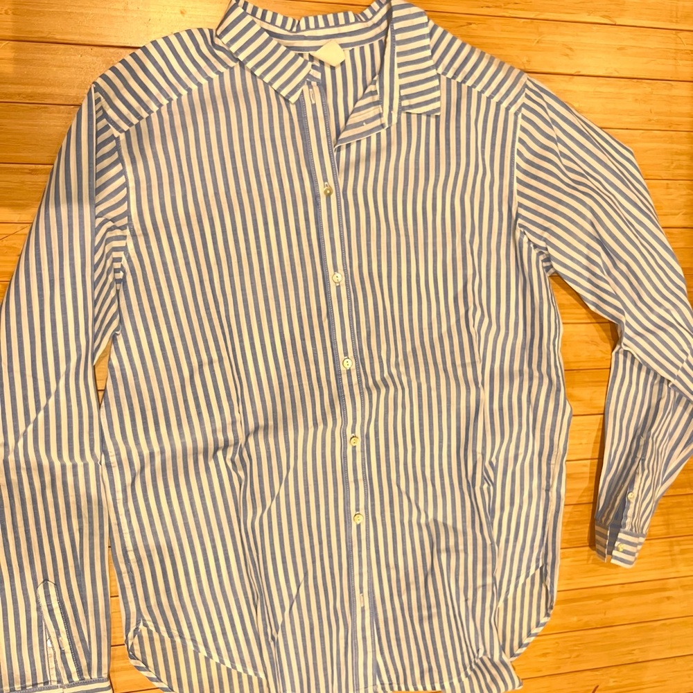 Zara Blue and White Striped Button-Up Blouse